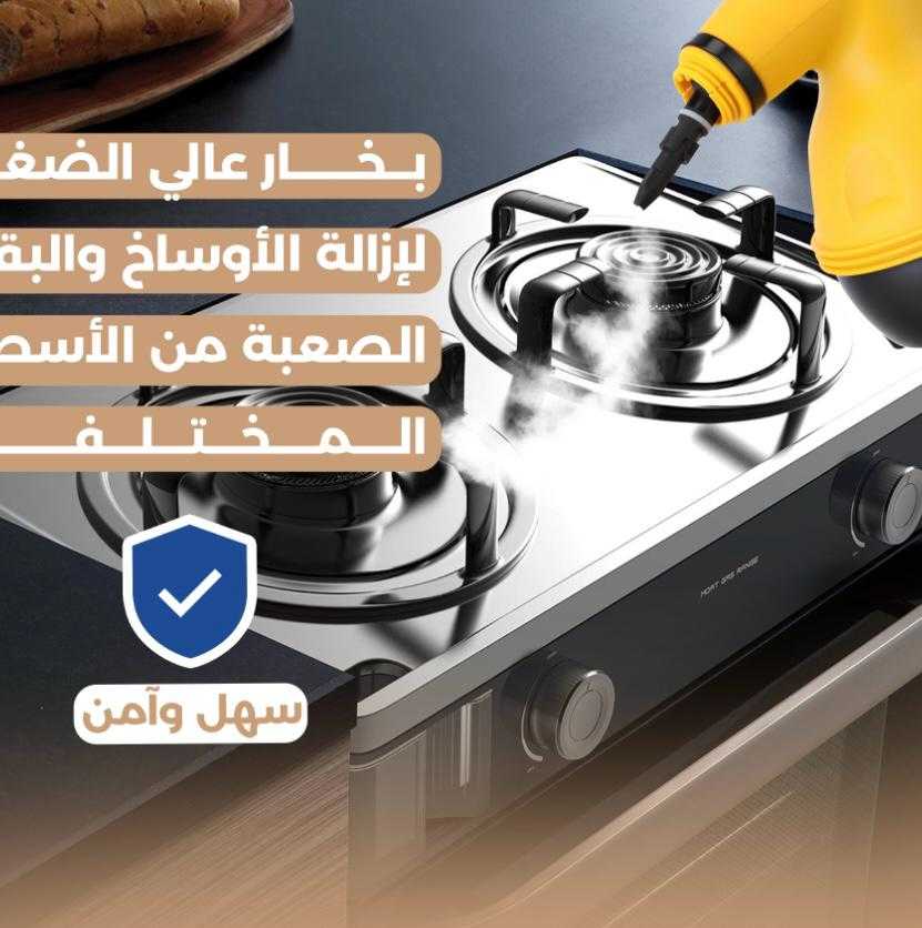 Handheld Steam Cleaner